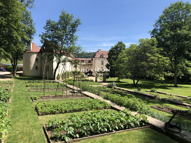 Château - 1 500 m² - 20 pièces