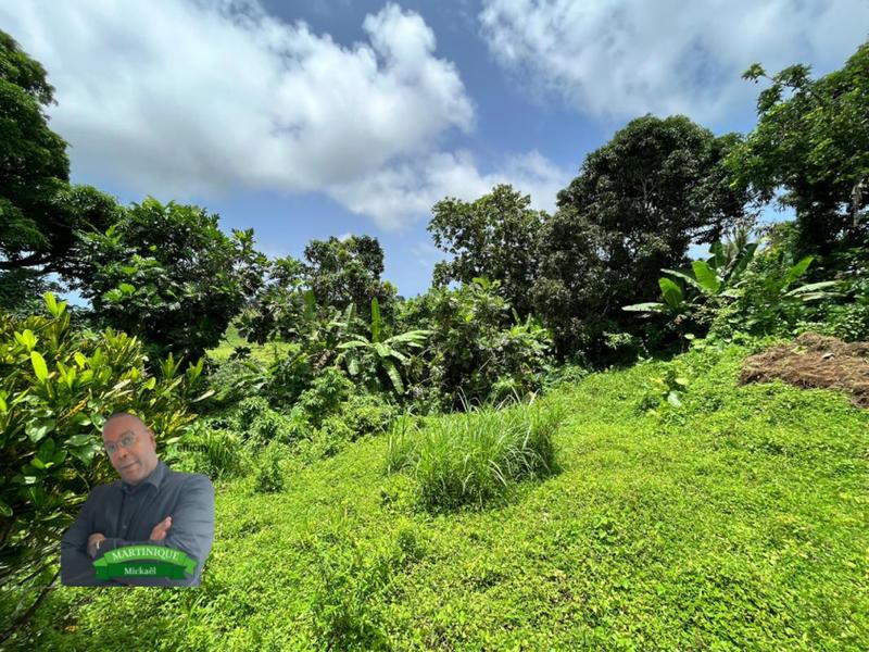 Terrain constructible - 1 480 m²