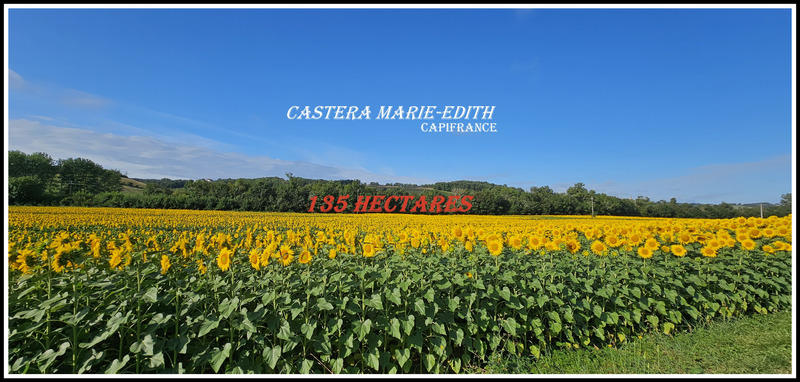 Propriété - 860 m² - 1 pièce