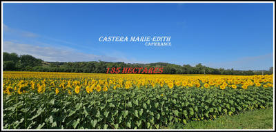 Propriété - 860 m² - 1 pièce