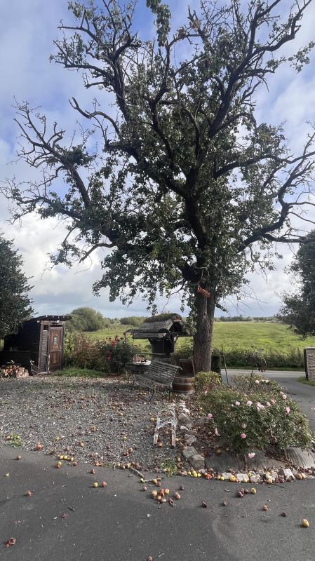 Propriété - 300 m² - 10 pièces