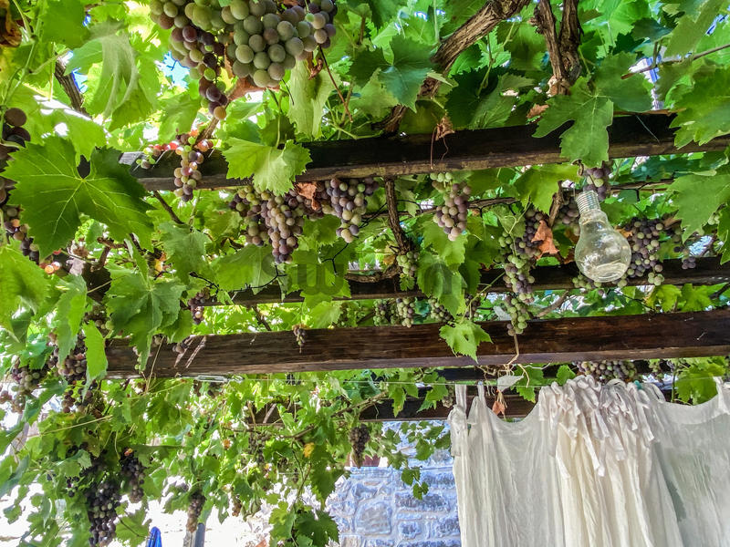 Maison de village - 84 m² - 3 pièces