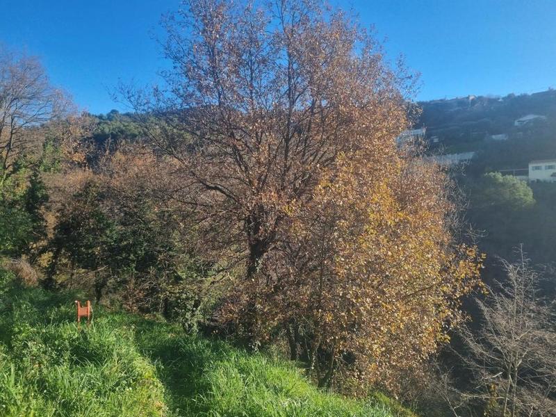 Terrain constructible - 2 920 m²