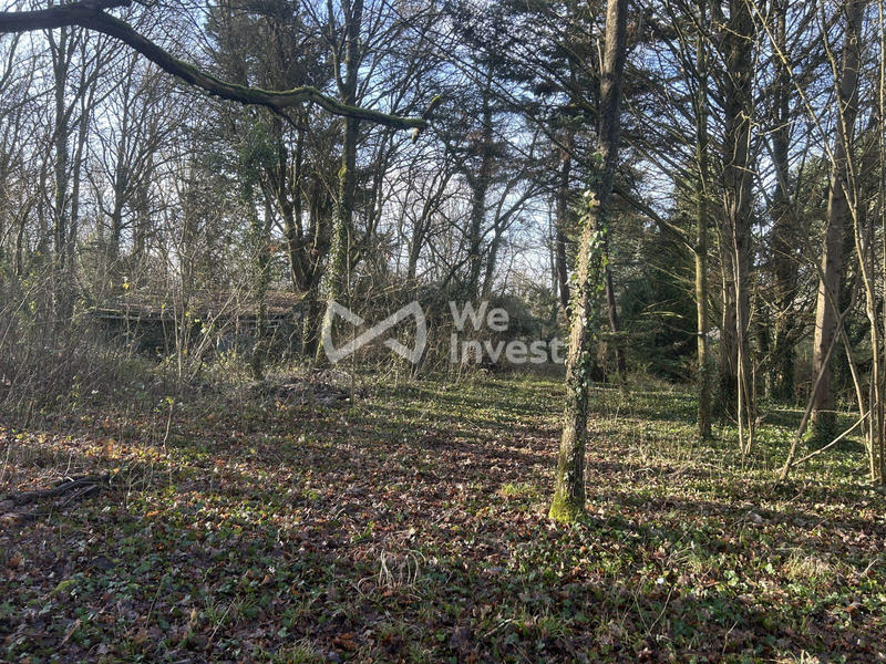 Terrain - 16 935 m²