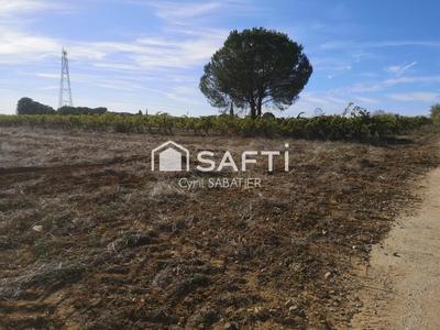 Terrain agricole - 10 000 m²