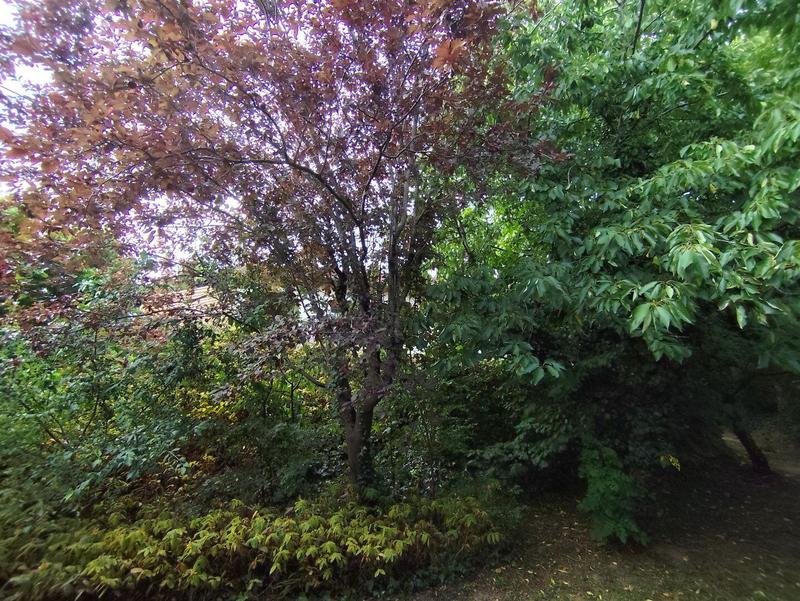 Maison - 166 m² - 6 pièces