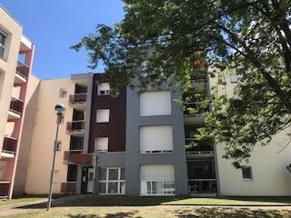 Appartement ancien - 35 m² - 1 pièce