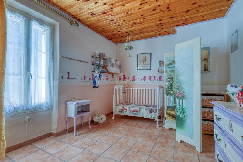 Viager - Maison - 316 m² - 8 pièces