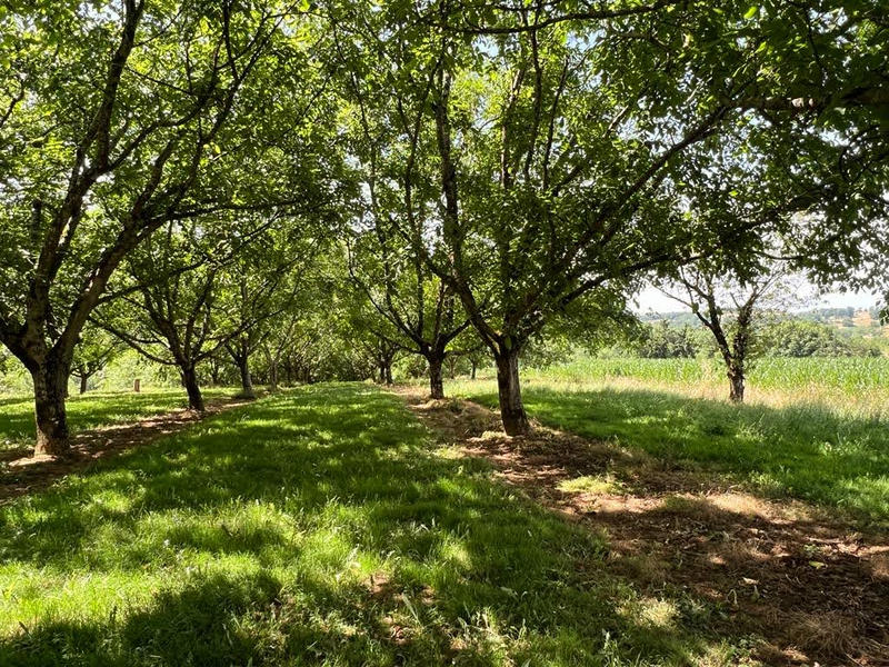 Corps de ferme - 120 m² - 6 pièces