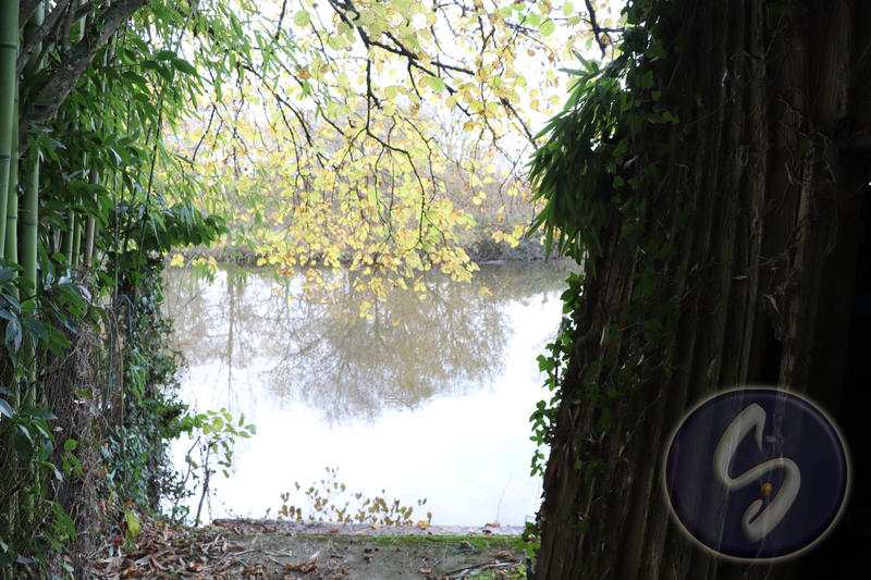 Maison - 99 m² - 4 pièces