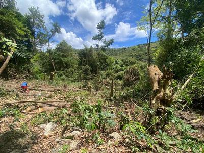 Terrain constructible - 1 981 m²