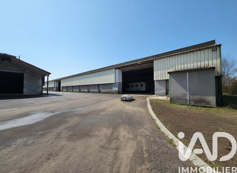 Appartement - 2 280 m² - 5 pièces