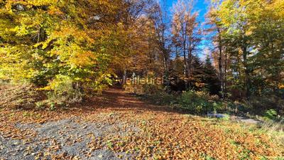 Maison de campagne - 119 m² - 5 pièces