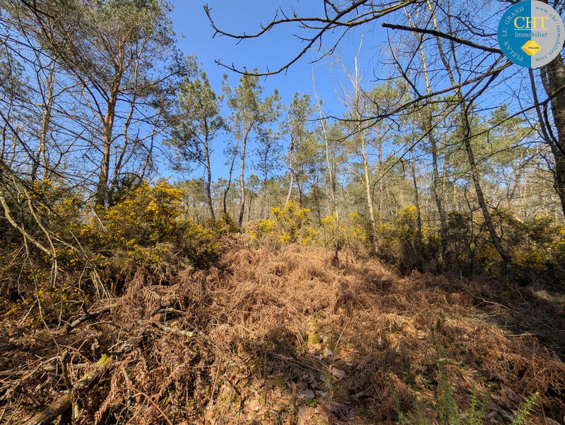 Terrain - 24 900 m²