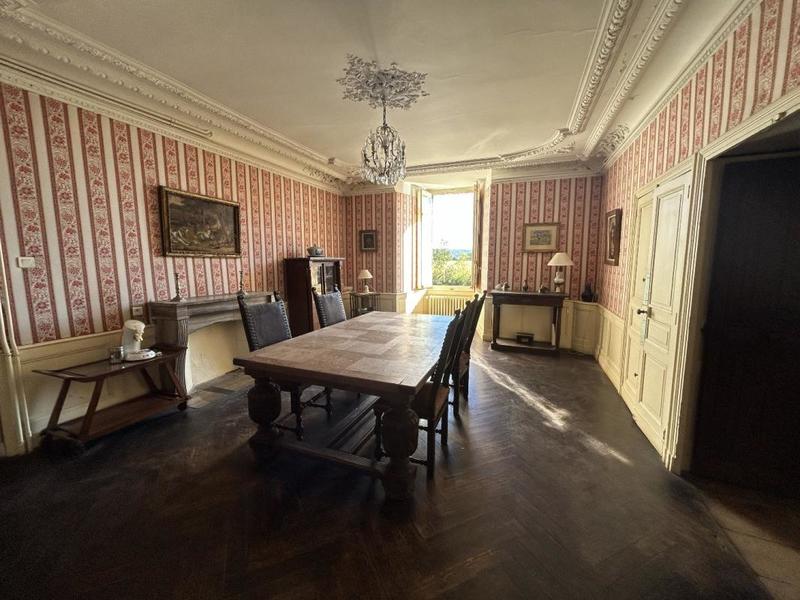 Château - 1 000 m² - 10 pièces