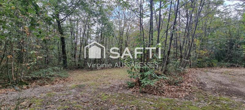 Local commercial - 100 m² - 12 pièces