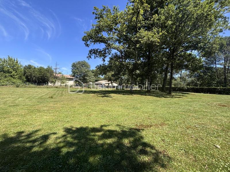 Terrain constructible - 1 000 m²