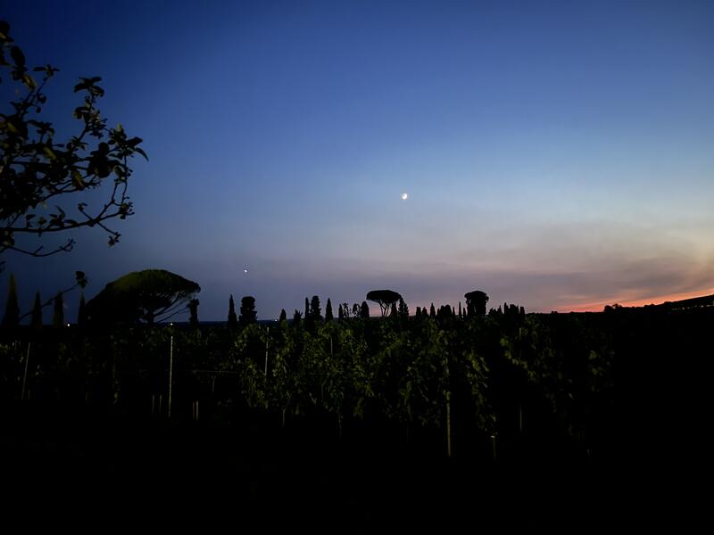 Les Nuits Atypiques au Domaine de Malagar