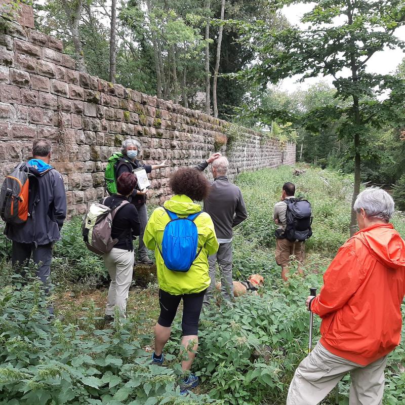 Sentiers Plaisir : le château de Guirbaden, quand les murs reprennent vie...