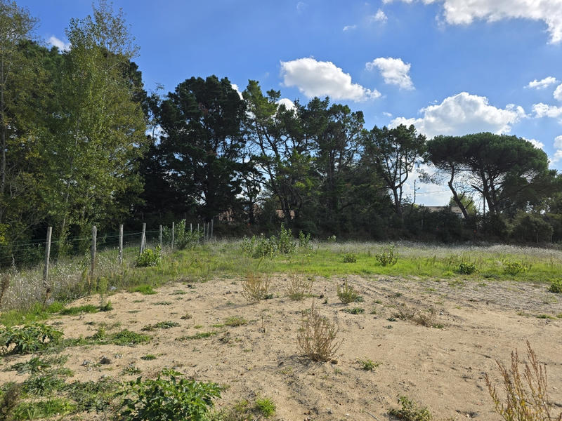 Terrain - 553 m²