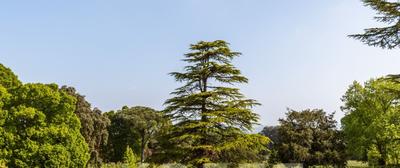 Manoir - 980 m² - 15 pièces