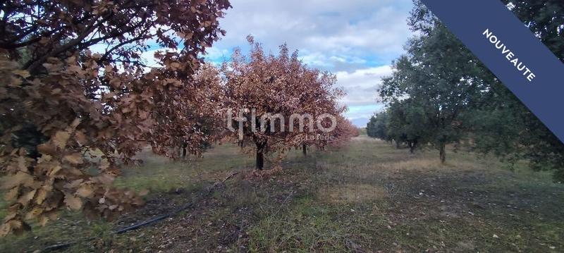 Terrain agricole - 45 000 m²