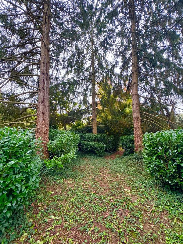 Maison d'architecte - 6 pièces