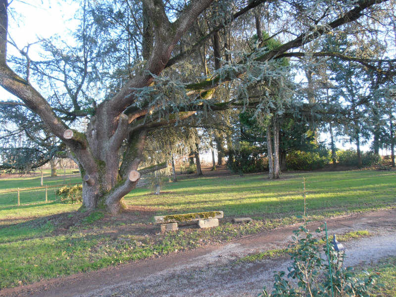 Maison - 260 m² - 8 pièces