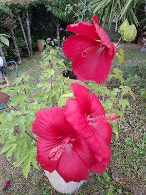 Promenade : le 13eme hors des sentiers battus (New)