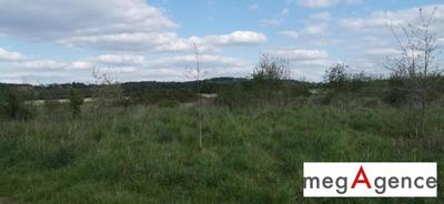 Terrain constructible - 4 103 m²