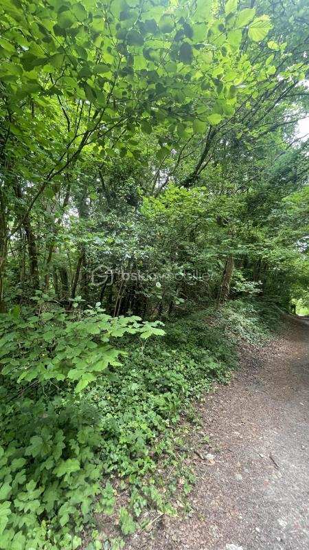 Terrain de loisirs - 1 900 m²