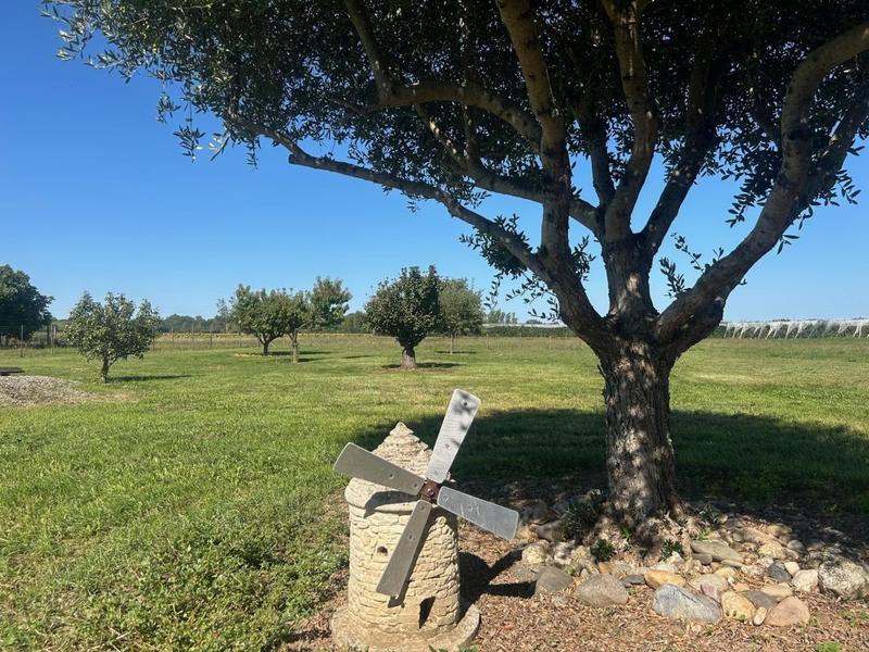 Propriété - 150 m² - 4 pièces