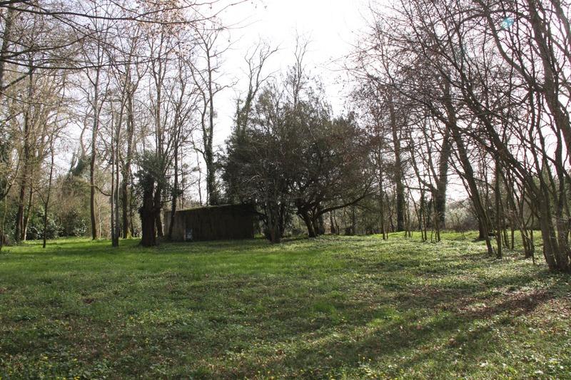 Terrain constructible - 8 124 m²