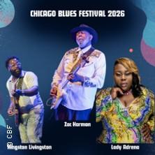 Chicago Blues Festival