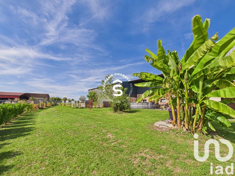 Ferme - 216 m² - 6 pièces