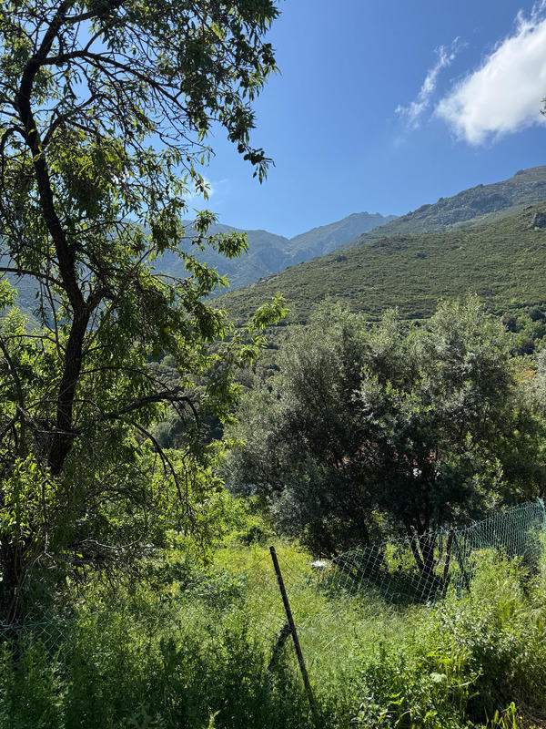 Terrain constructible - 623 m²