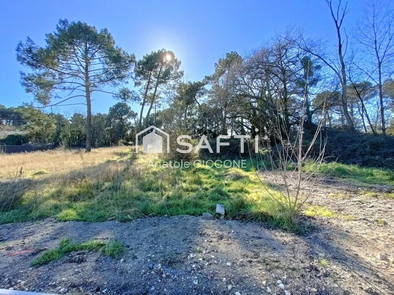 Terrain - 730 m²