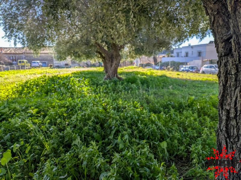 Terrain constructible - 561 m²