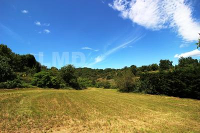 Terrain - 10 678 m²