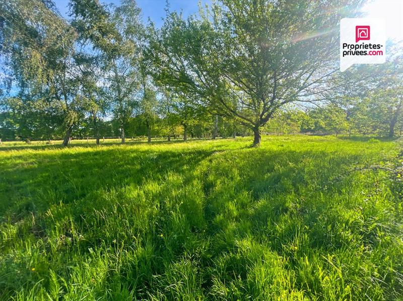 Maison - 155 m² - 5 pièces