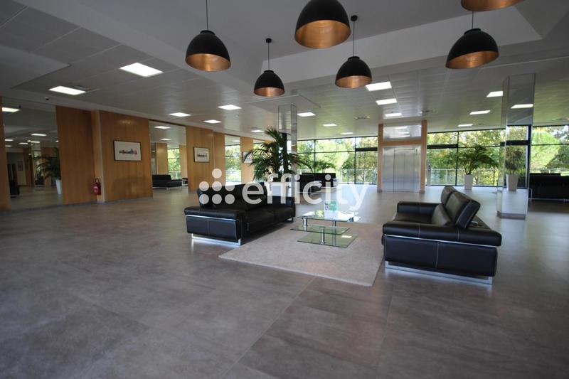 Bureau - 35 m² - 1 pièce