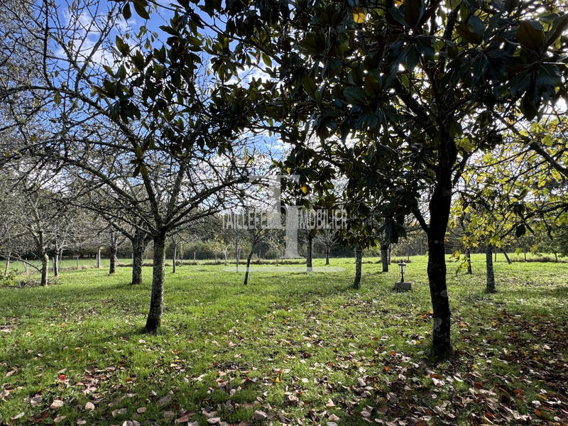 Maison - 113 m² - 5 pièces