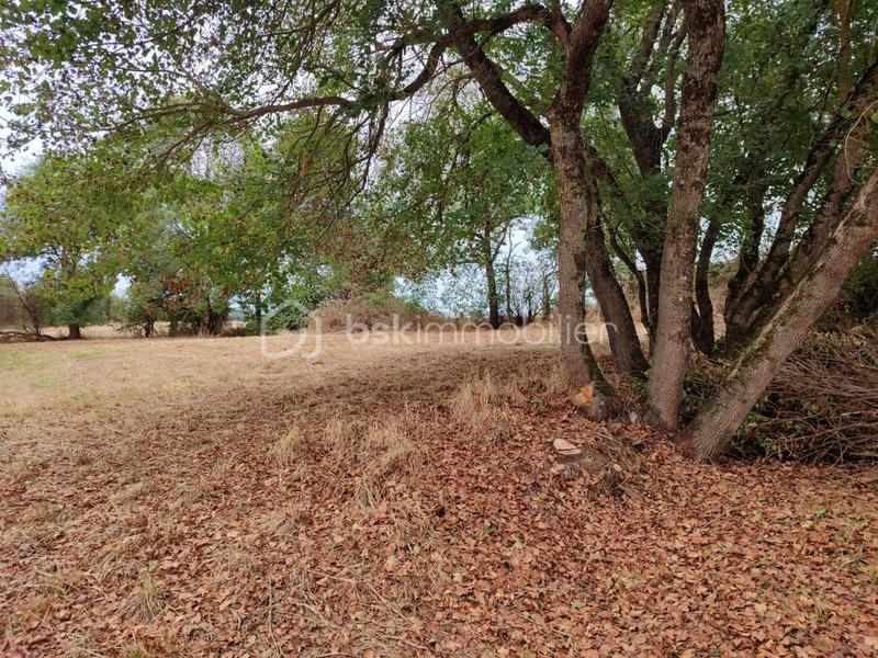 Maison en pierre - 145 m² - 5 pièces