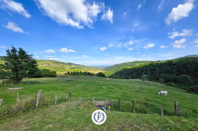 Propriété - 271 m² - 10 pièces