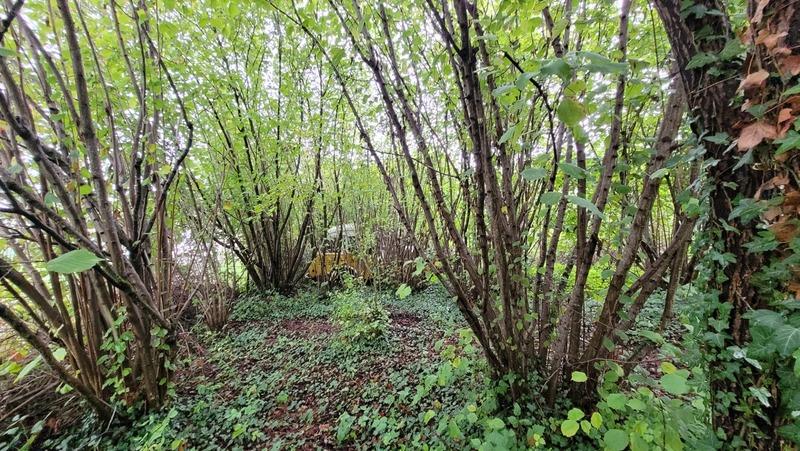 Terrain constructible - 2 092 m²