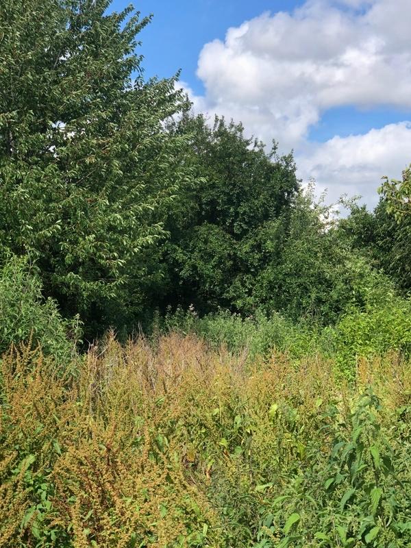 Maison - 125 m² - 7 pièces