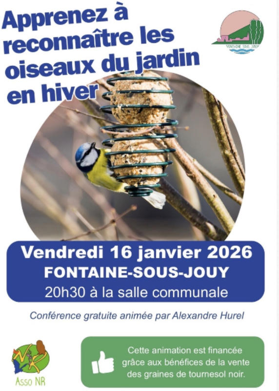 Atelier : Apprenez à reconnaître les oiseaux du jardin en hiver.
