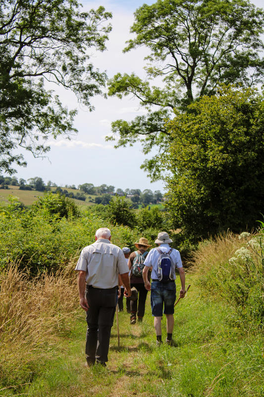 Randonnée à Gaillefontaine