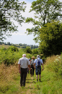 Randonnée à Gaillefontaine