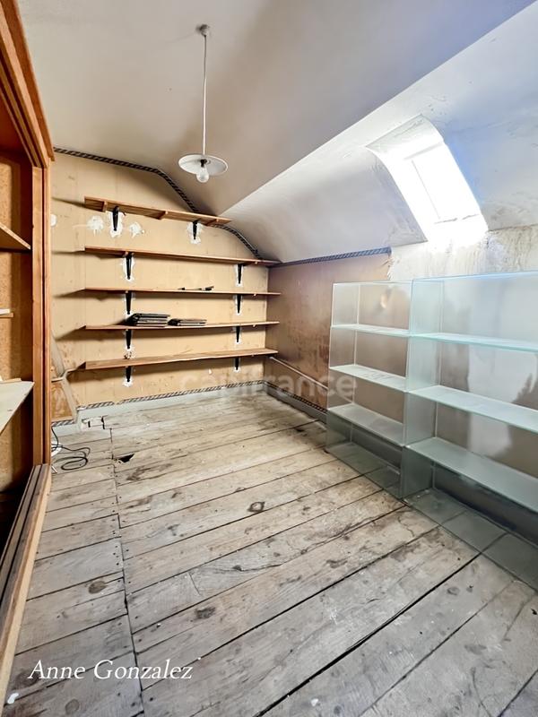 Maison bourgeoise - 280 m² - 8 pièces